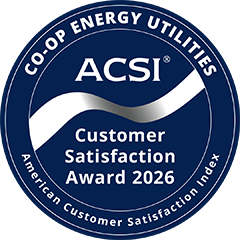 acsi 2in